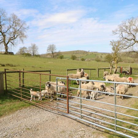 Sunnyside Cottage Bellerby ภายนอก รูปภาพ