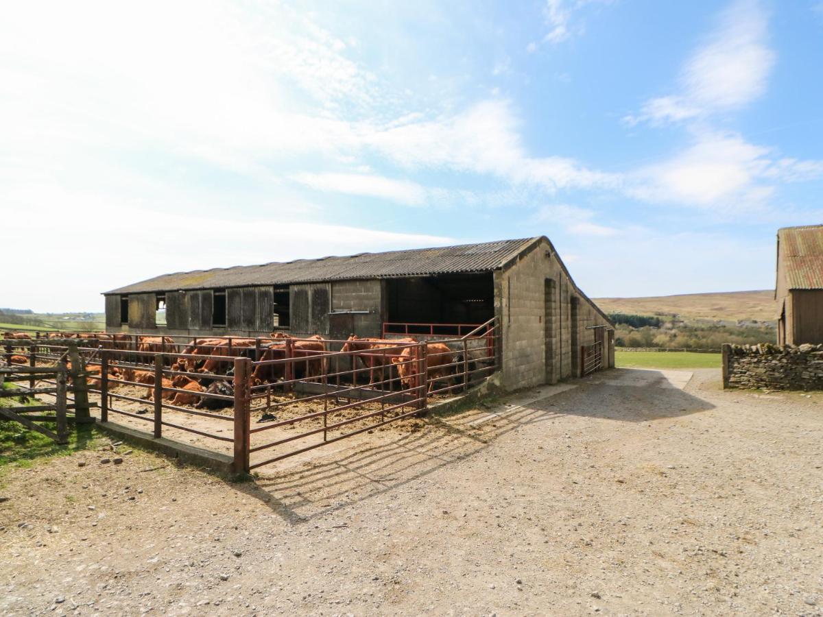 Sunnyside Cottage Bellerby ภายนอก รูปภาพ